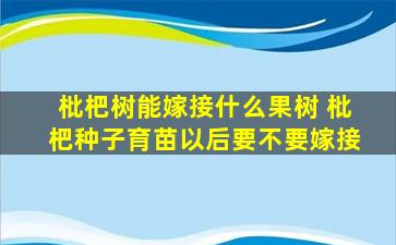 枇杷树能嫁接什么果树 枇杷种子育苗以后要不要嫁接